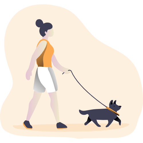 Girl walks with a dog